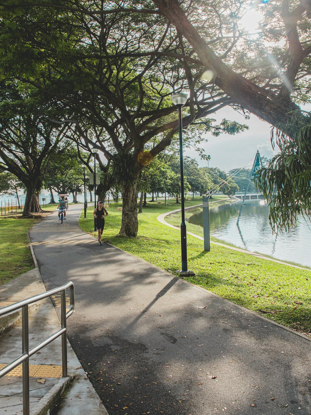 Calm green park path in Singapore surrounded by tropical trees