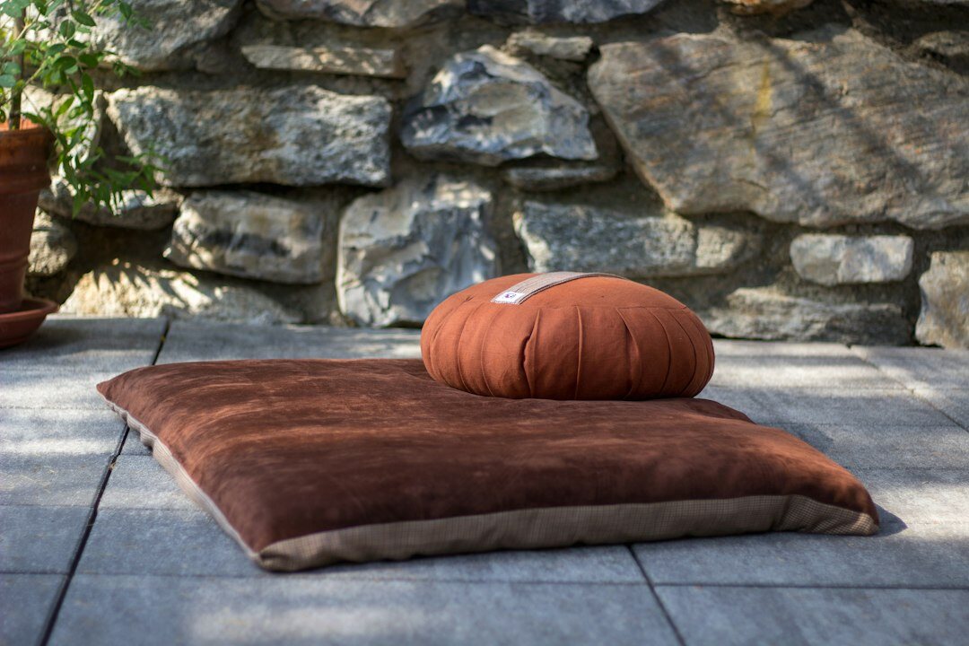 Meditation cushion in a calm sunlit room with plants